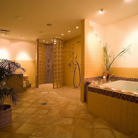 Arminius Hotel 4*