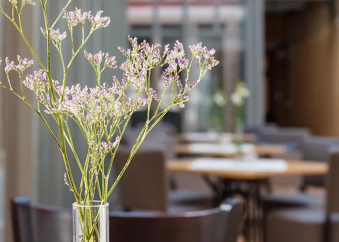 酒店 亚米纽斯酒店 巴特萨尔茨乌夫伦