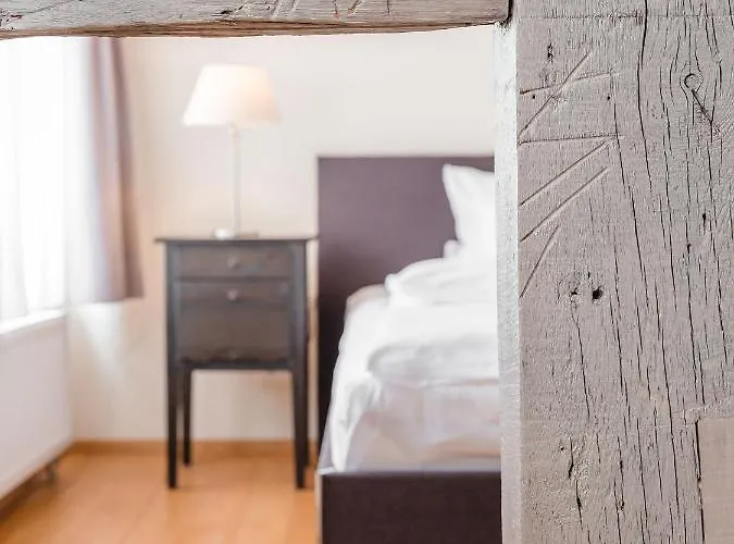 亚米纽斯酒店 酒店