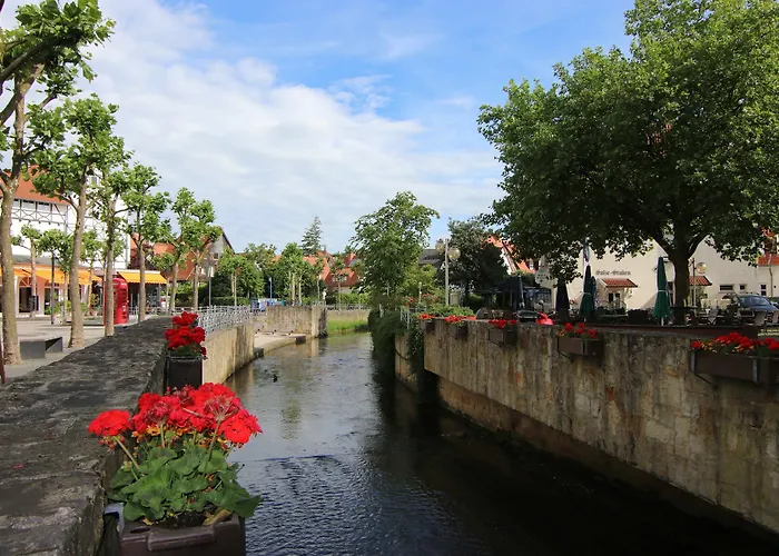 亚米纽斯酒店 酒店